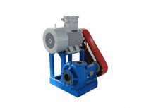 Shearing Pump